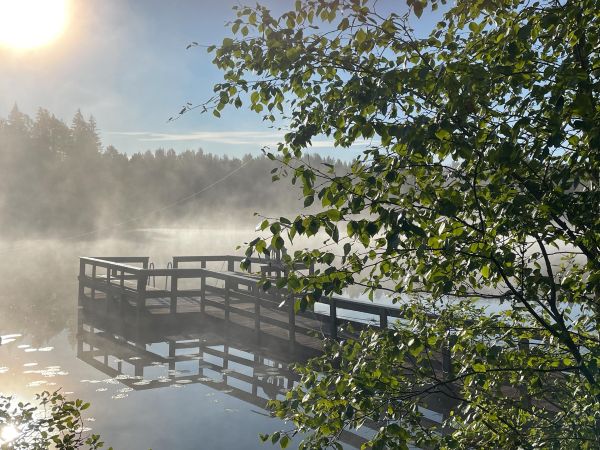Laituri ja veden pinta - 600 Rauhallinen tunnelma ja laituri veden äärellä