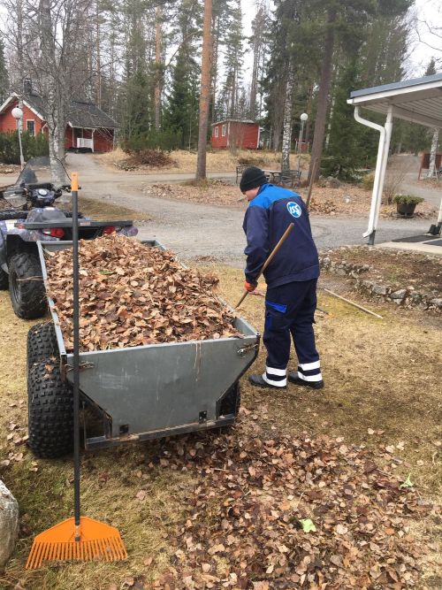 Mies haravoimassa lehtiä.