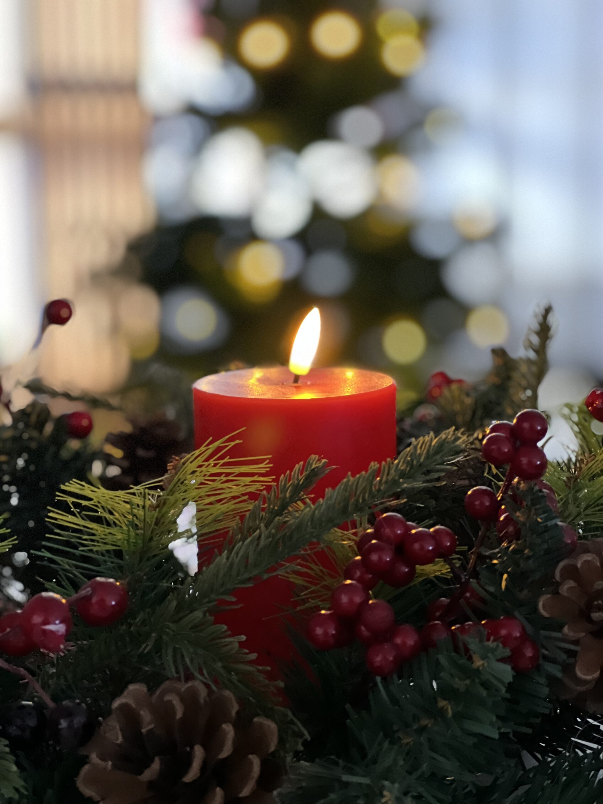 Kiponniemi 3 IMG E0379 scaled - 3